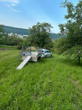 Foto - Grundstück in Esslingen am Neckar