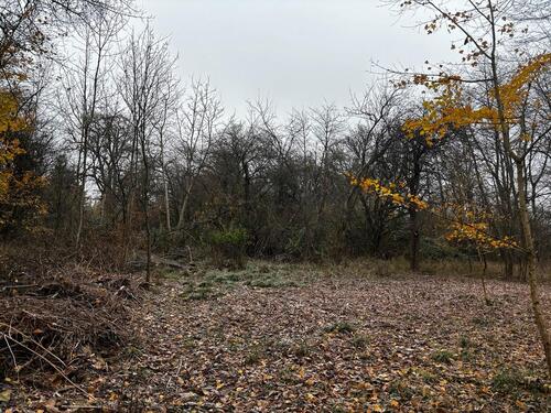 Foto - Grundstück in Esslingen am Neckar zum Kaufen