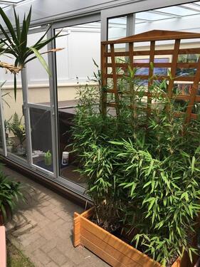 Foto - Einfamilienhaus in Meißen zum Kaufen