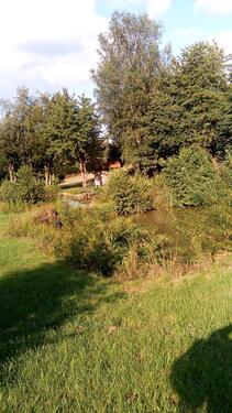 Foto - Grundst&uuml;ck zur Miete in Pfaffenhofen an der Ilm