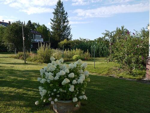 Foto - 7 Zimmer Einfamilienhaus in Bad Arolsen