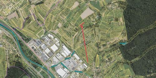 Foto - Wiesengrundstück mit Obstbestand