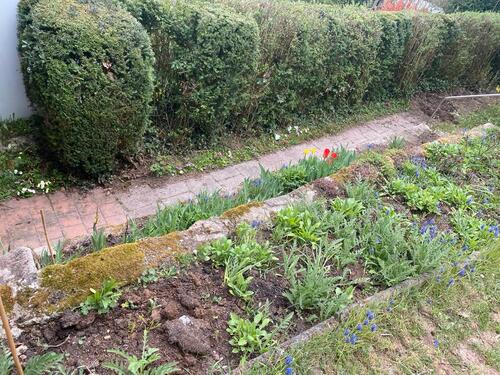 Foto - Einfamilienhaus in Ebern zur Miete