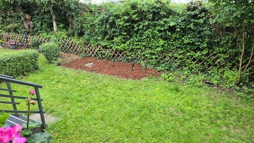 Foto - 3.5 Zimmer Erdgeschoßwohnung in Essen