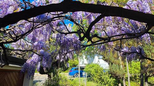 Foto - 4 Zimmer Erdgeschoßwohnung in Neckarwestheim