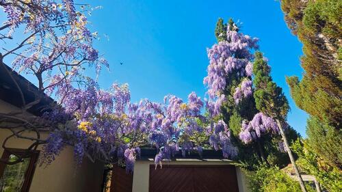 Foto - Erdgeschoßwohnung in Neckarwestheim zur Miete