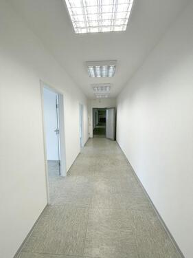 Foto - andere in Trier