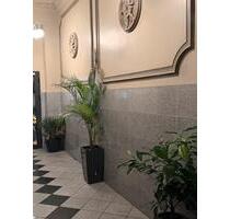 Appartement im Herzen von Frankfurt - Frankfurt am Main Innenstadt 1