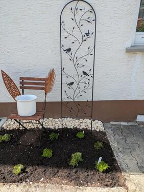 Foto - 6.5 Zimmer Doppelhaushälfte zum Kaufen in Schönaich