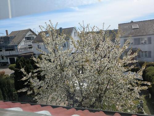 Foto - 6.5 Zimmer Doppelhaushälfte in Schönaich