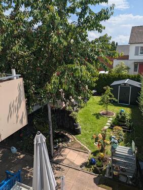 Foto - Doppelhaushälfte in Schönaich zum Kaufen