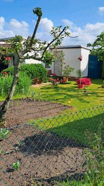 Foto - Grundst&uuml;ck zur Miete in Torgau