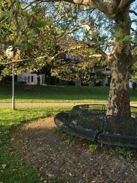 Foto - 1-Zimmer-Terrassenwohnung im Kurgebiet mit ca. 40 m² Wfl.