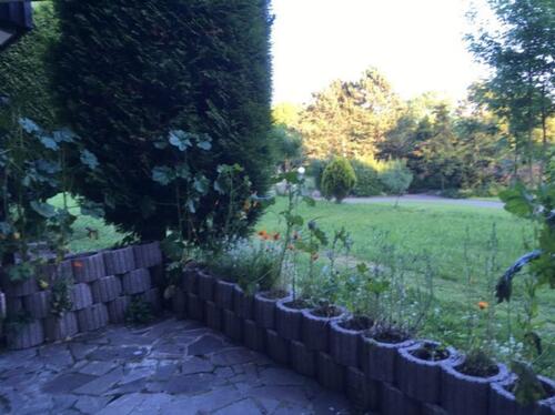 Foto - 1 Zimmer Terrassenwohnung zur Miete in Bad Säckingen