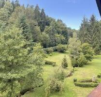 Frisch renovierte Dachgeschosswohnung im Grünen - Schönau