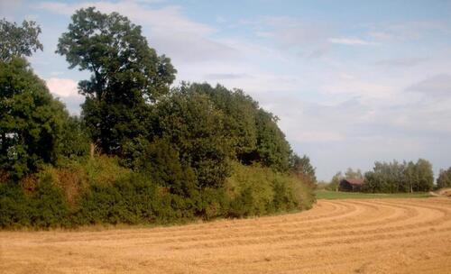 Foto - Landwirtschaftliche Ackerfläche mit 1,91ha nähe 84144 Geisenhausen