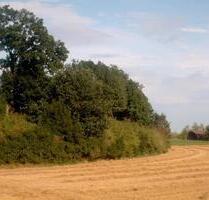 Landwirtschaftliche Ackerfläche mit 1,91ha nähe 84144 Geisenhausen