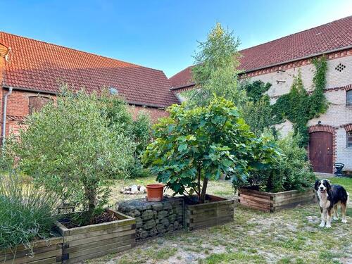 Foto - Einfamilienhaus in Neustadt (Dosse) zum Kaufen