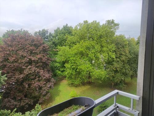 Foto - Etagenwohnung zur Miete in Kassel