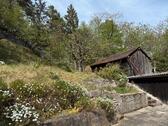 Foto - Einfamilienhaus in Burglengenfeld zum Kaufen