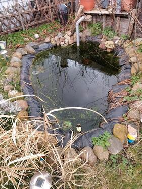 Foto - Grundst&uuml;ck zur Miete in Leipzig