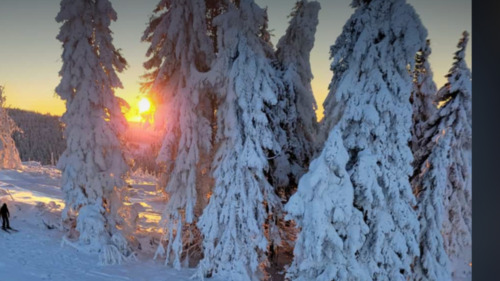Foto - andere in Willingen (Upland) zur Miete