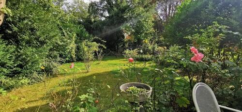 Foto - Etagenwohnung in Essen