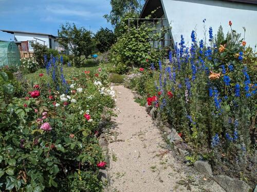 Foto - Grundst&uuml;ck in Zittau