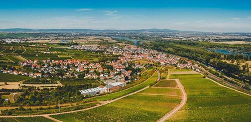 Foto - ATTRAKTIVES MFH FÜR KAPITALANLEGER NÄHE MAINZ
