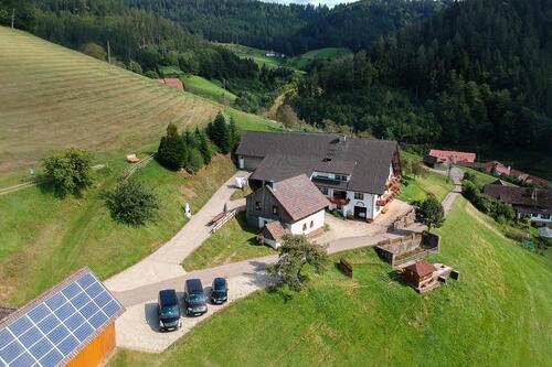 Foto - Schwarzwald-Ferienhaus- Ferienwohnungen Panoramalage Natur