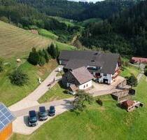 Schwarzwald-Ferienhaus- Ferienwohnungen Panoramalage Natur - Oppenau