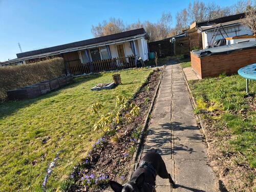 Foto - Grundst&uuml;ck zur Miete in Hoyerswerda