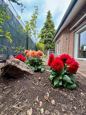 Foto - Haus mit Terrasse für 2-3 Pers. Moers- Schwafheim