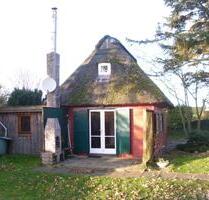 Kleines Reetdachhaus direkt am Meer in Kalifornien bei Schönberg - Schönberg (Holstein)