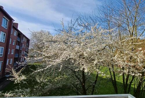 Foto - 3.5 Zimmer Etagenwohnung in Emden