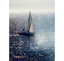 Frühling am Bodensee - 60,00&nbsp;EUR Kaltmiete, in Uhldingen-Mühlhofen (PLZ: 88690)