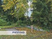 Foto - Nahe des S-Bahnhof Aumühle: 'Ideal gelegener Stellplatz für Berufspendler!'