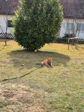 Foto - Etagenwohnung in Plochingen zum Kaufen