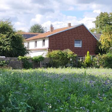 Foto - Vermiete Wng 50+60 m² Ko-broisch-Herrenshoff, Stadtrand Mönchgl.