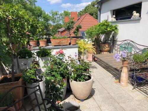 Foto - 4 Zimmer Dachgeschoßwohnung zur Miete in Neuruppin