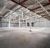 Vielfältige Produktions- und Bürofläche im EG - renoviert und flexibel - Mainz Ebersheim