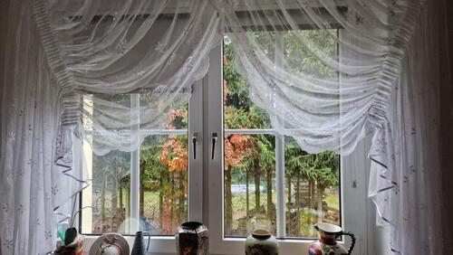 Foto - Ruhige 2-Zimmer-Wohnung - Hochparterre m. Dusche u. Balkon
