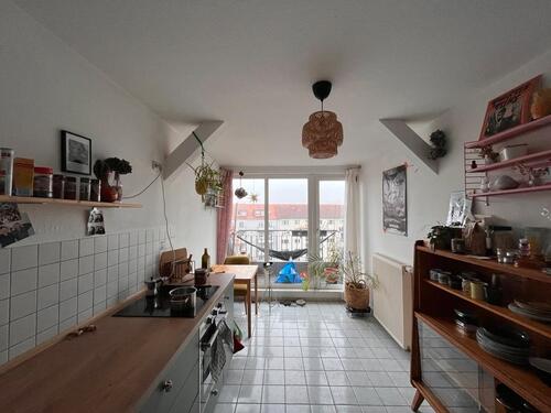 Foto - Zwischenmiete ab Sommer mit Katzenbetreuung in Johannstadt