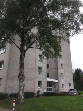 Foto - Über den Dächern von Mülheim: 3 gut aufgeteilte Zimmer