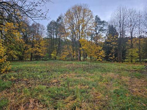 Foto - andere in Oelsnitz (Vogtland)