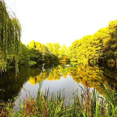 Foto - Haus, Traumhaus am eigenen See bei Großenwiehe, Nähe zu Flensburg