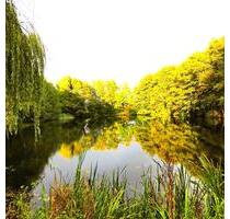 Haus, Traumhaus am eigenen See bei Großenwiehe, Nähe zu Flensburg