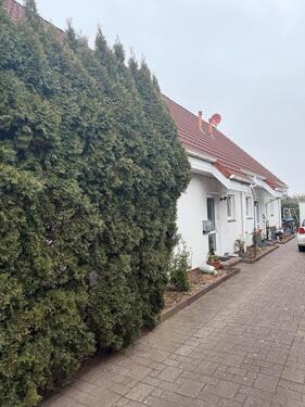 Foto - 4 Zimmer Doppelhaushälfte zum Kaufen in Eicklingen