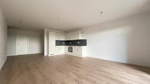 Foto - 4-Raumwohnung in Dresden Pirnaische Vorstadt - Wentzel Dr. -