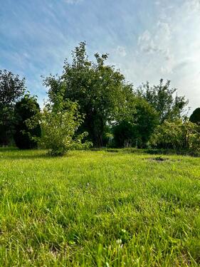 Foto - Grundst&uuml;ck in Barleben zur Miete